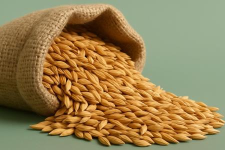 Über Gerstenwasser gegen die Hormone, die den Appetit anregen